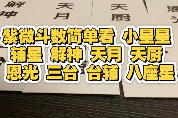 紫微斗数台辅星在命宫 台辅在命宫的女人? 紫微斗数台辅星在命宫 台辅在命宫的女人?