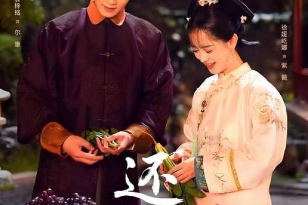 紫薇斗数视频合集