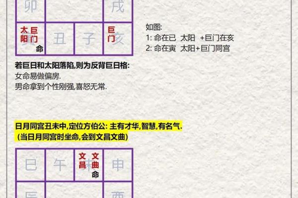 紫薇斗数视频合集