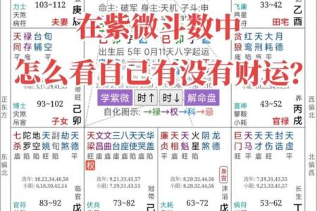 紫微斗数原文 紫微斗数原文讲解？