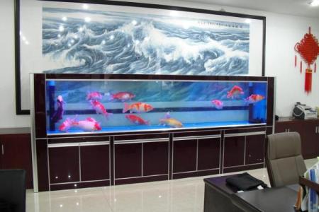 家中养鱼6大风水禁忌客厅鱼缸怎么摆放旺财示意图