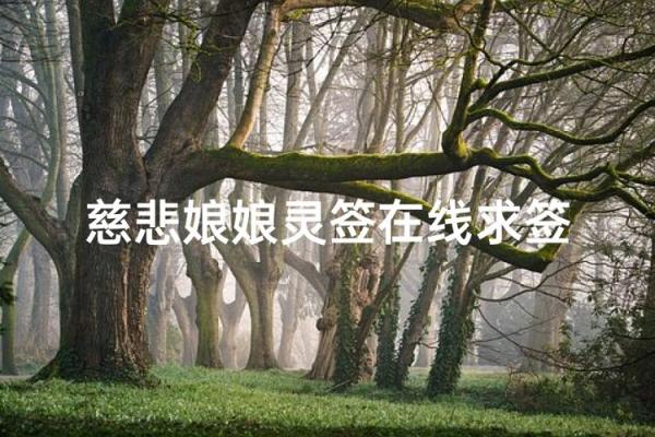 慈悲娘娘灵签79解析