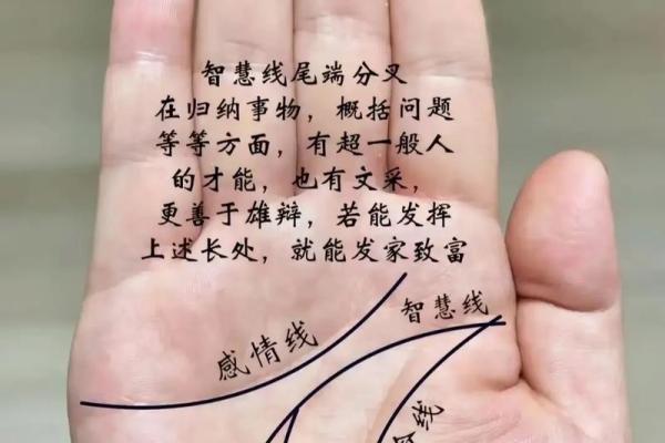 一掌经算命最准的方法