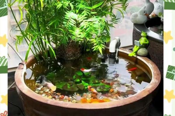 养鱼风水摆放位置的禁忌有哪些呢 养鱼风水摆放位置的禁忌有哪些呢
