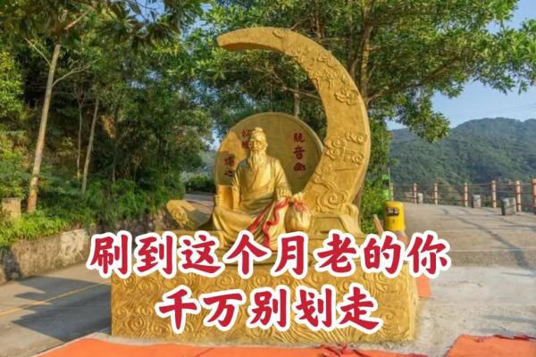 月老掉线姻缘树