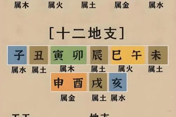 八字阳干和阴干怎么看 八字阳干和阴干怎么看
