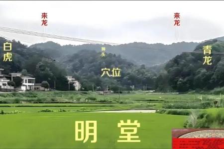 怎样看墓地风水