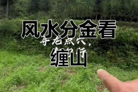 风水大地_风水宝地的意思