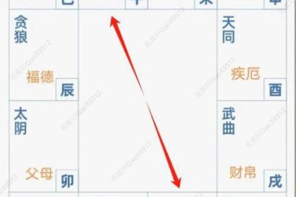 夫之子紫薇斗数