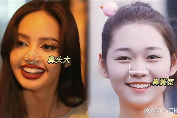 为什么说大鼻子女人不能要风水观点 为什么说大鼻子女人不能要风水观点