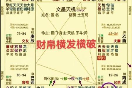 紫薇斗数命盘如何排