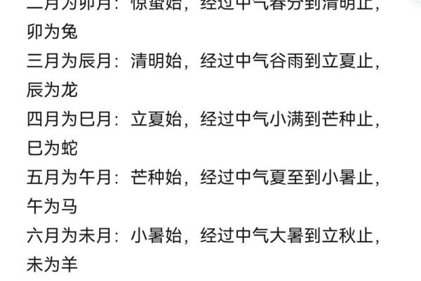 八字干支 八字干支