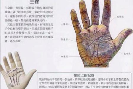 免费算命一生有几个孩子,子女线要怎么看