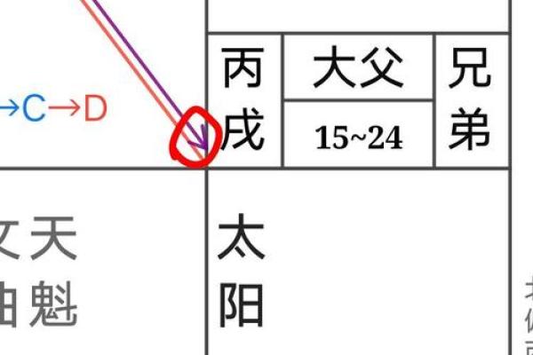 紫微斗数夫妻宫太阴星脸型 紫微斗数夫妻宫太阴星脸型