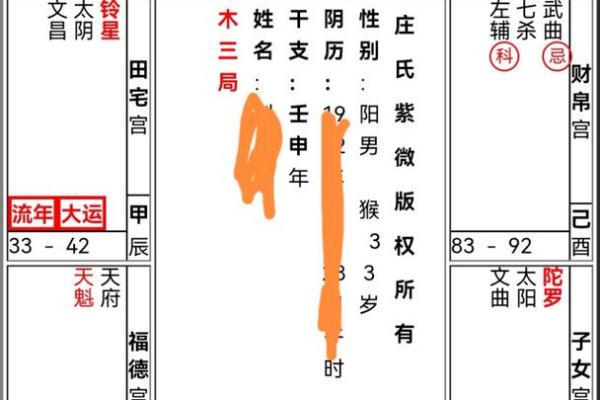 紫微斗数紫薇天府入命宫