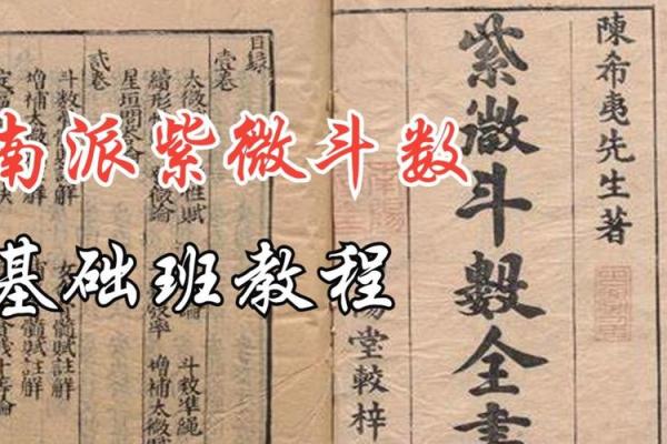 紫薇斗数宫主 紫薇斗数宫主