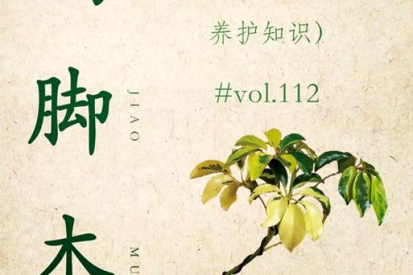 商业:办公养花风水与五行八卦 商业:办公养花风水与五行八卦