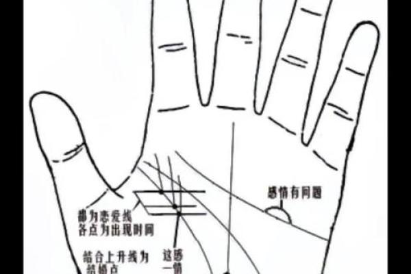 掌纹算命图解 通过手相看智慧 掌纹算命图解 通过手相看智慧