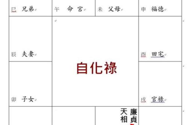 紫微斗数自化多 紫薇自化？