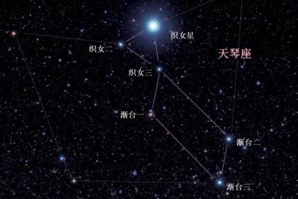 夫妻紫薇天府星 夫妻紫薇天府星