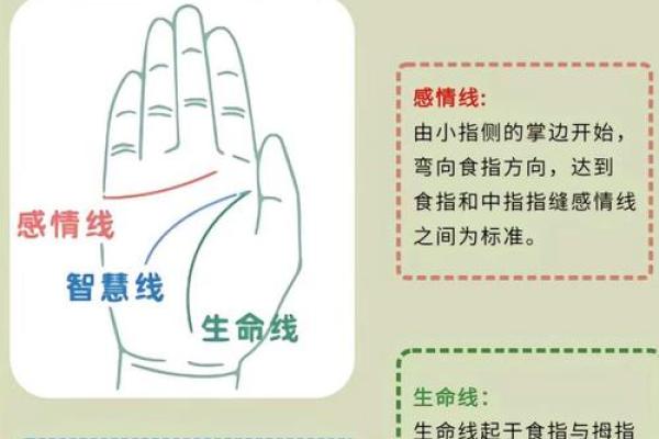 看手相算命：第五课 论健康