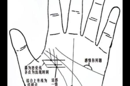 掌纹算命图解 通过手相看智慧