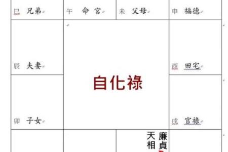 紫微斗数自化多 紫薇自化？