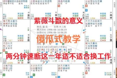 简单看紫薇斗数