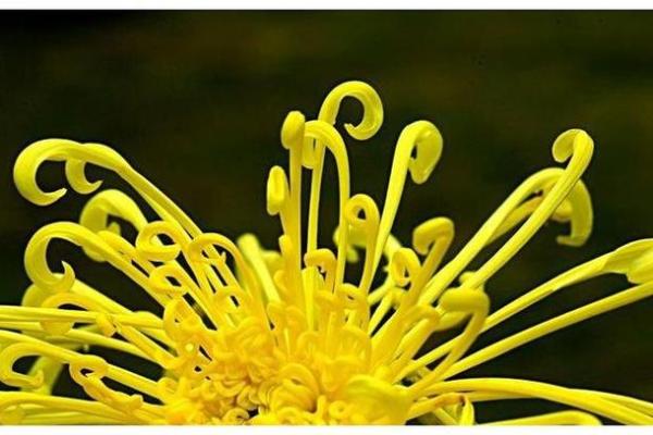 关公灵签第3签问姻缘 关公灵签第3签问姻缘