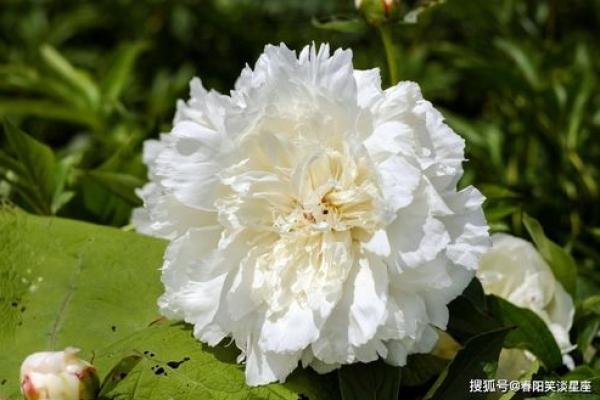 关公灵签第3签问姻缘 关公灵签第3签问姻缘