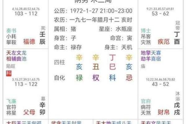 八字主星是什么意思 八字主星含义