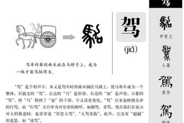起名字测试评分基本原理_字型起名
