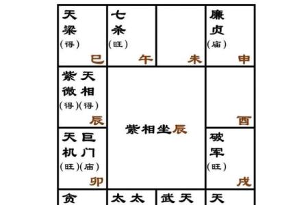 紫薇斗数看事业起色