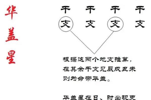 八字华盖查询免费在线，快速准确的八字命盘解析