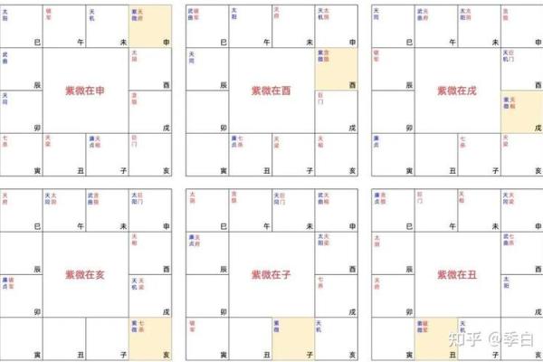 【紫微斗数】排盘技巧047： 紫微斗数在法律领域的应用