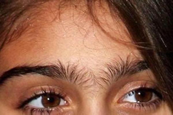 连心眉面相算命图解 连心眉面相算命图解