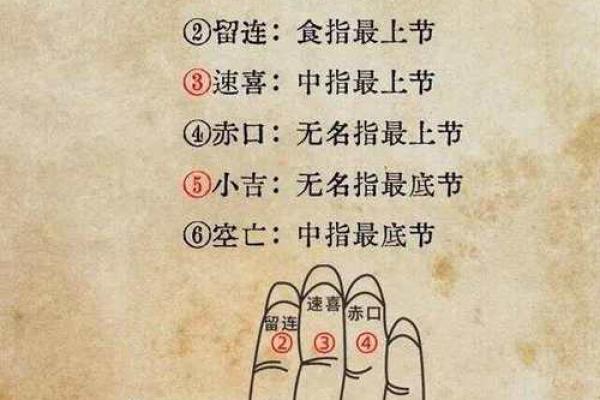 怎么算命用手就行 怎么算命用手就行