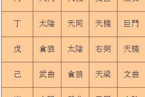 紫薇斗数看做什么 紫薇斗数看做什么