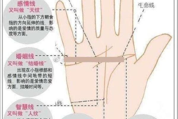 看手相算命生命线 手相图解生命线怎么看