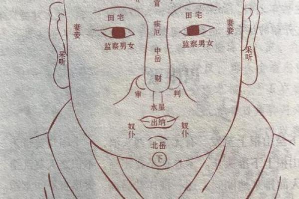 面相算命图解十二宫之:财帛宫 面相算命图解十二宫之:财帛宫