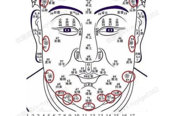 眼皮看面相算命