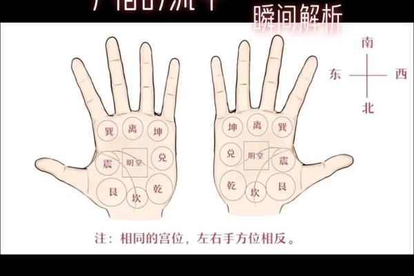 男人九种手相算命图解 男人九种手相算命图解