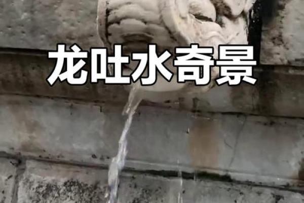 风水上龙吐水寓意是什么