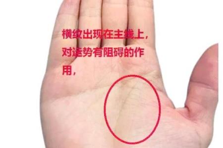 看手相算命生命线 手相图解生命线怎么看