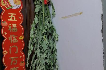 艾叶干了还能挂门上吗还有风水效果吗