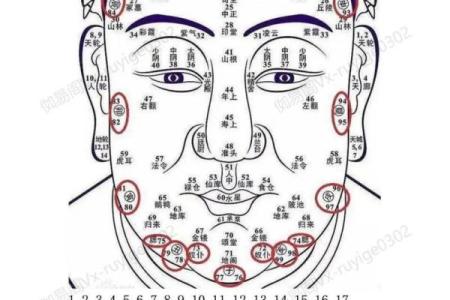 眼皮看面相算命