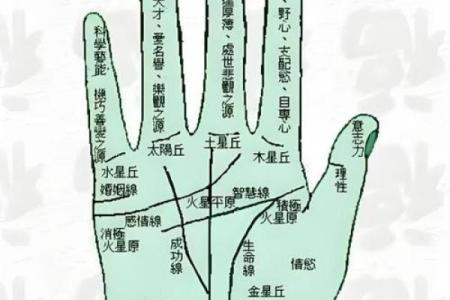 男人九种手相算命图解