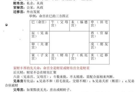 紫薇斗数中的加什么意思