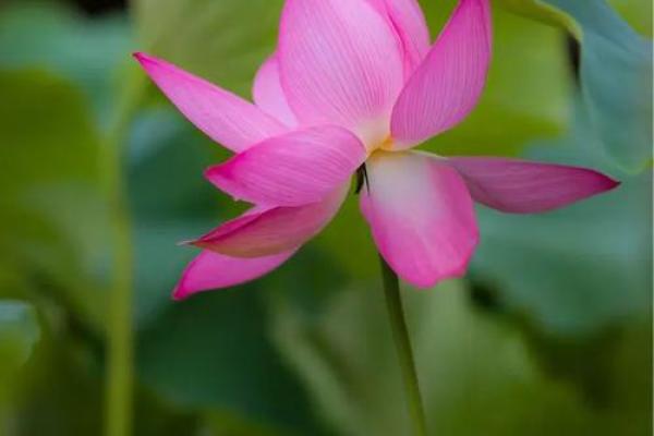 算命的说小孩扎根在水中 算命的说小孩扎根在水中