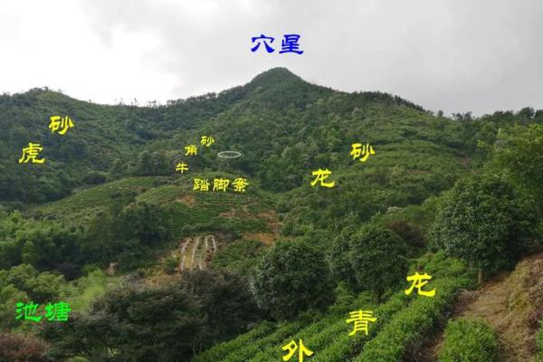 风水石稳地运化煞气